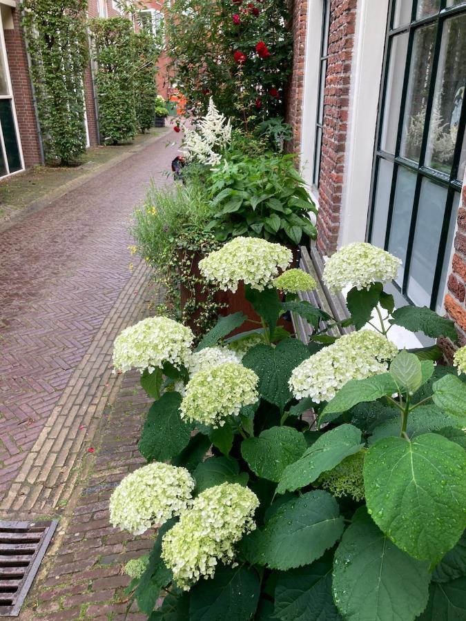Guesthouseone Haarlem Extérieur photo